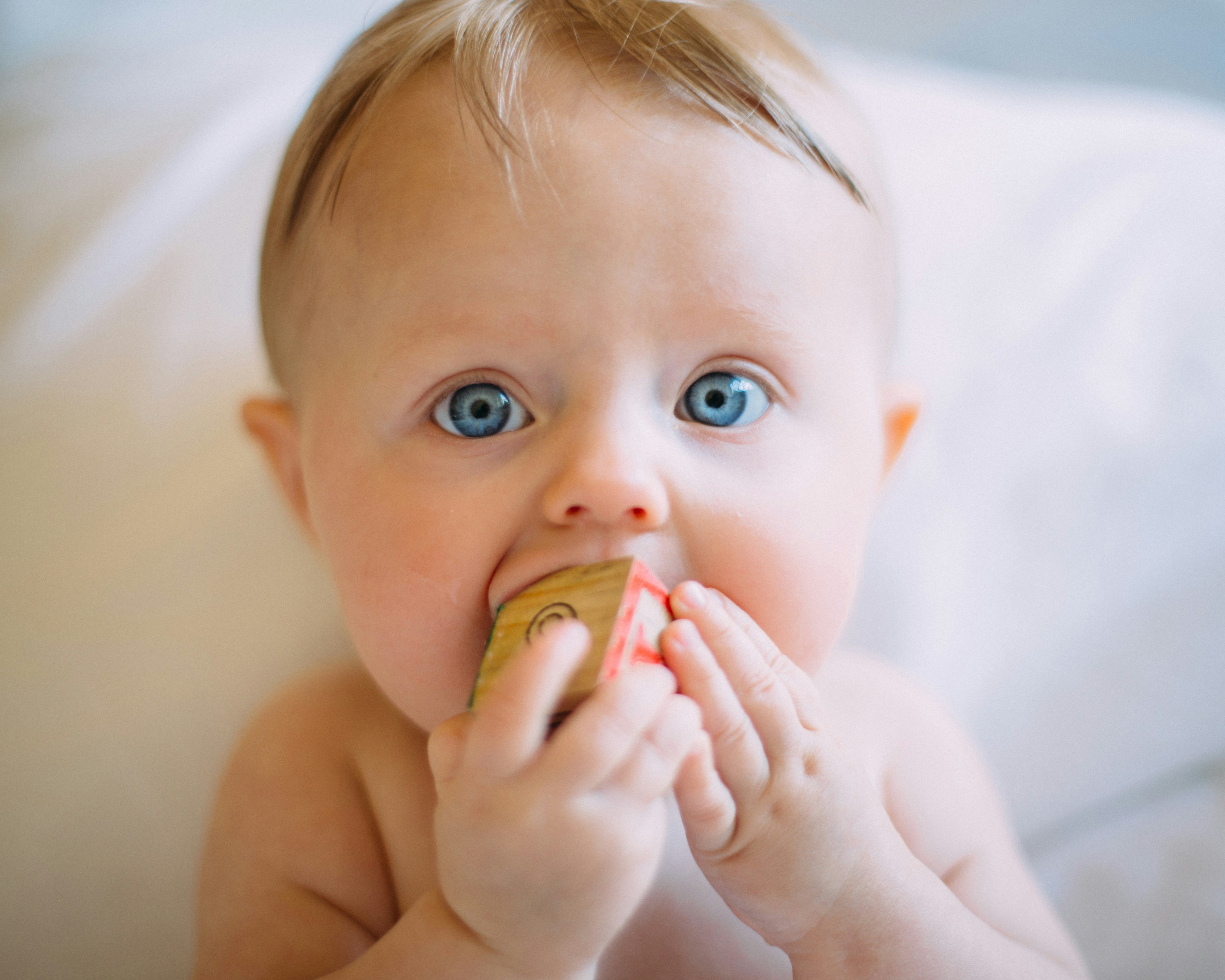 baby chewing play bricks